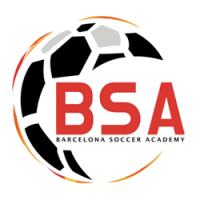BSA Logo